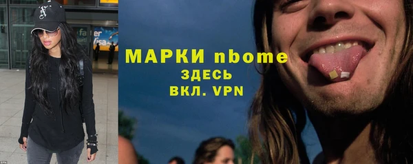ГАЛЛЮЦИНОГЕННЫЕ ГРИБЫ Аркадак
