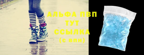ГАЛЛЮЦИНОГЕННЫЕ ГРИБЫ Аркадак