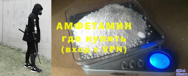 ГАЛЛЮЦИНОГЕННЫЕ ГРИБЫ Аркадак