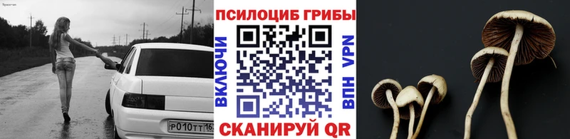 Псилоцибиновые грибы MAGIC MUSHROOMS  Могоча 