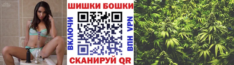 Шишки марихуана сатива Могоча